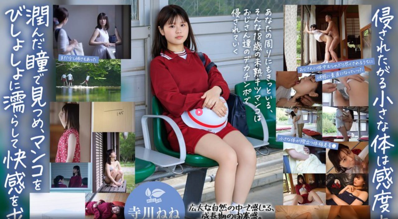 ...免费免费99久久国产综合全集免费播放...,强奷漂亮少妇高潮A片...